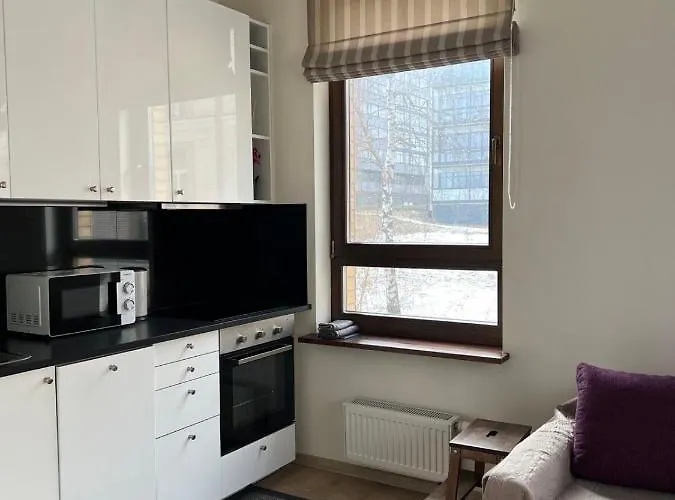 Apartment Vilnius Old Town